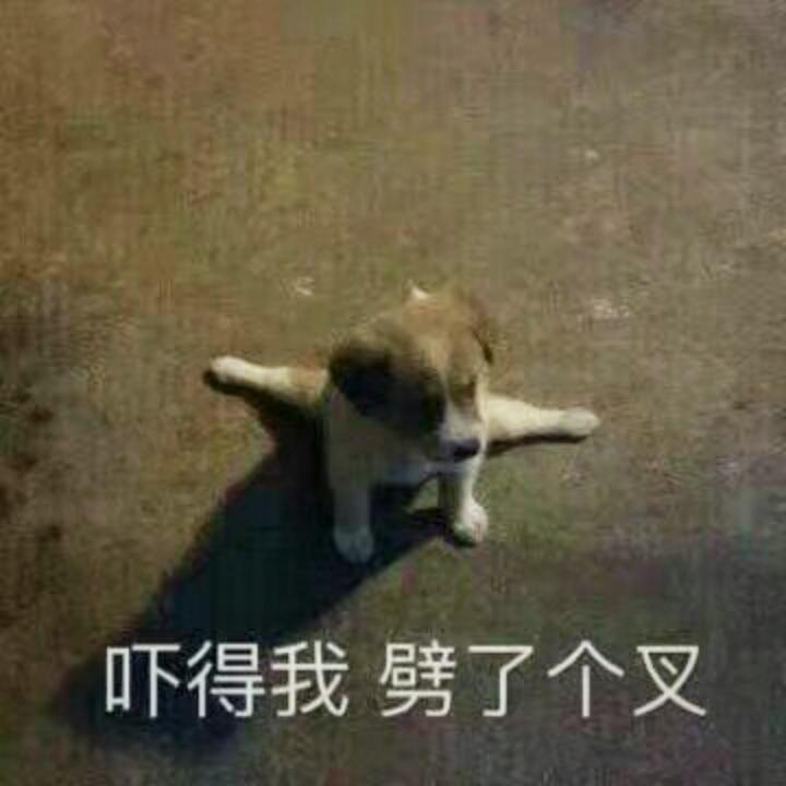 小白鼠菜地