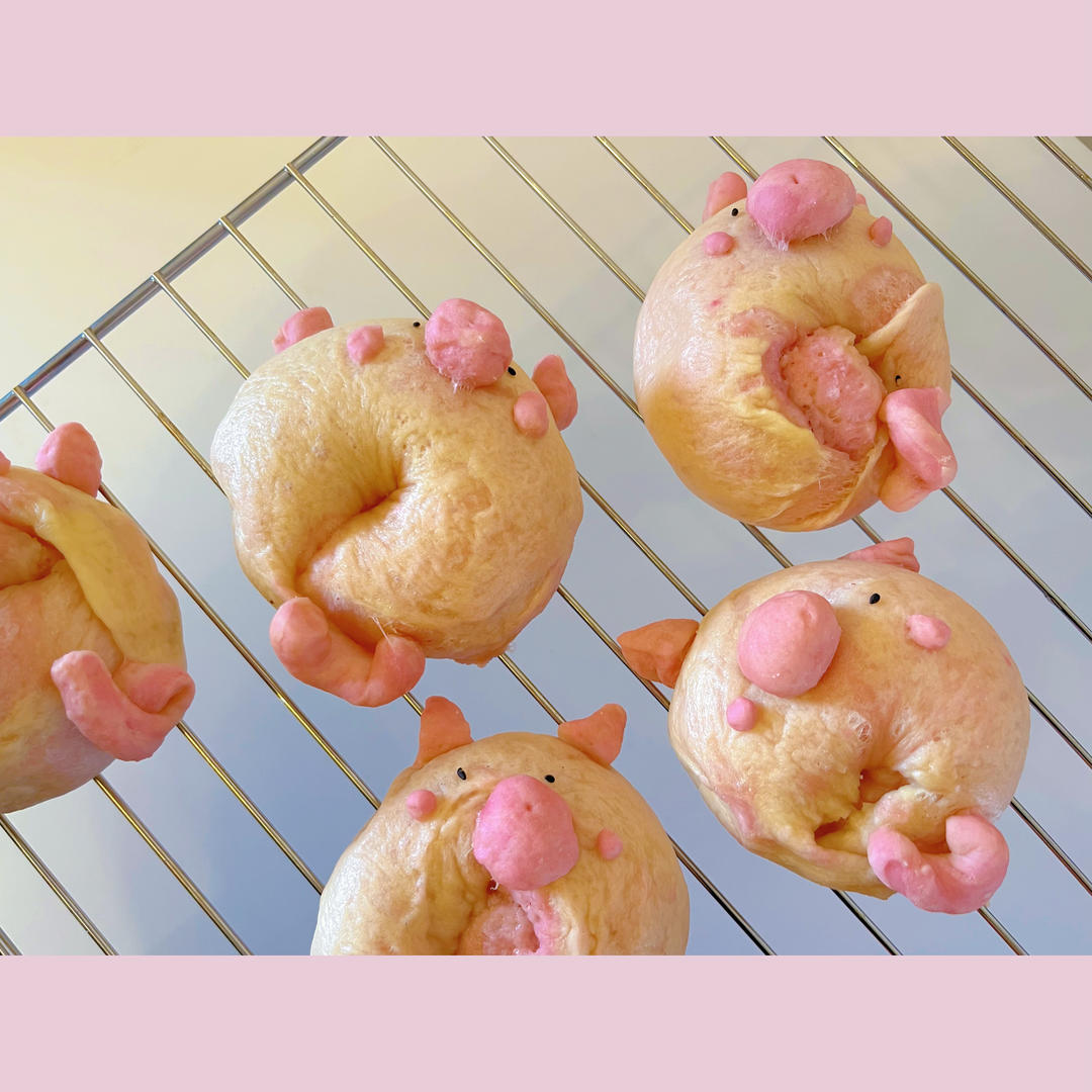猪猪贝果🐷