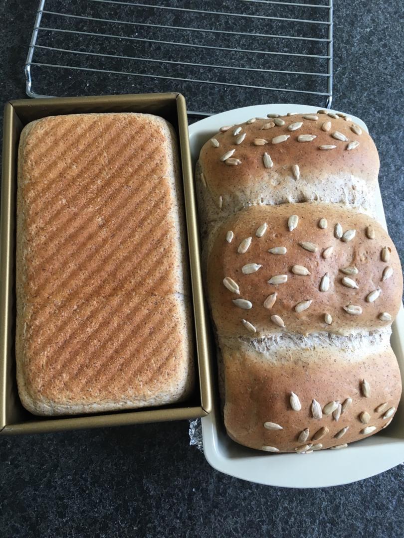 酸奶吐司（100%中种法）可以吃到酸奶的吐司