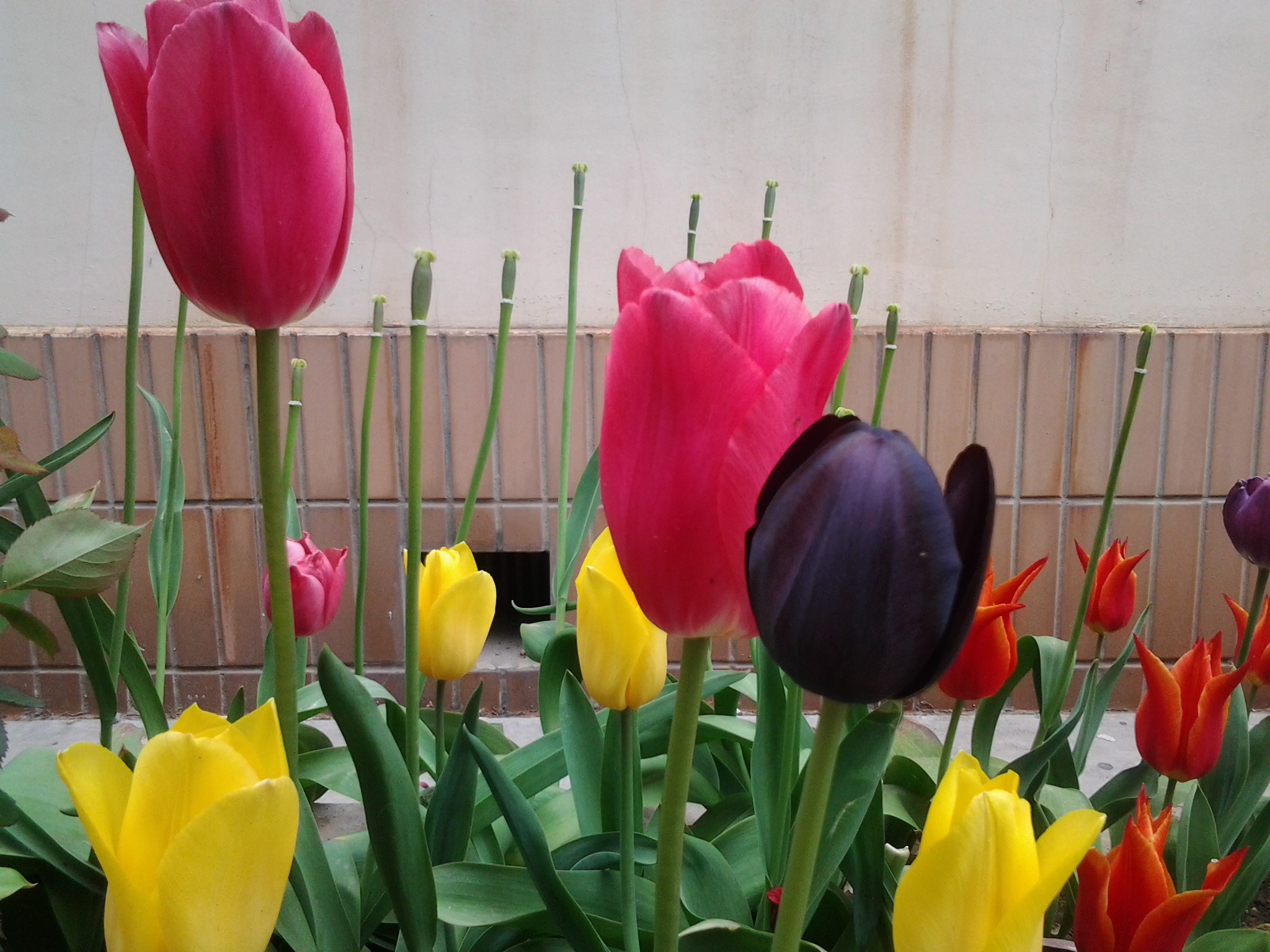 美丽新世界-O(∩_∩)O