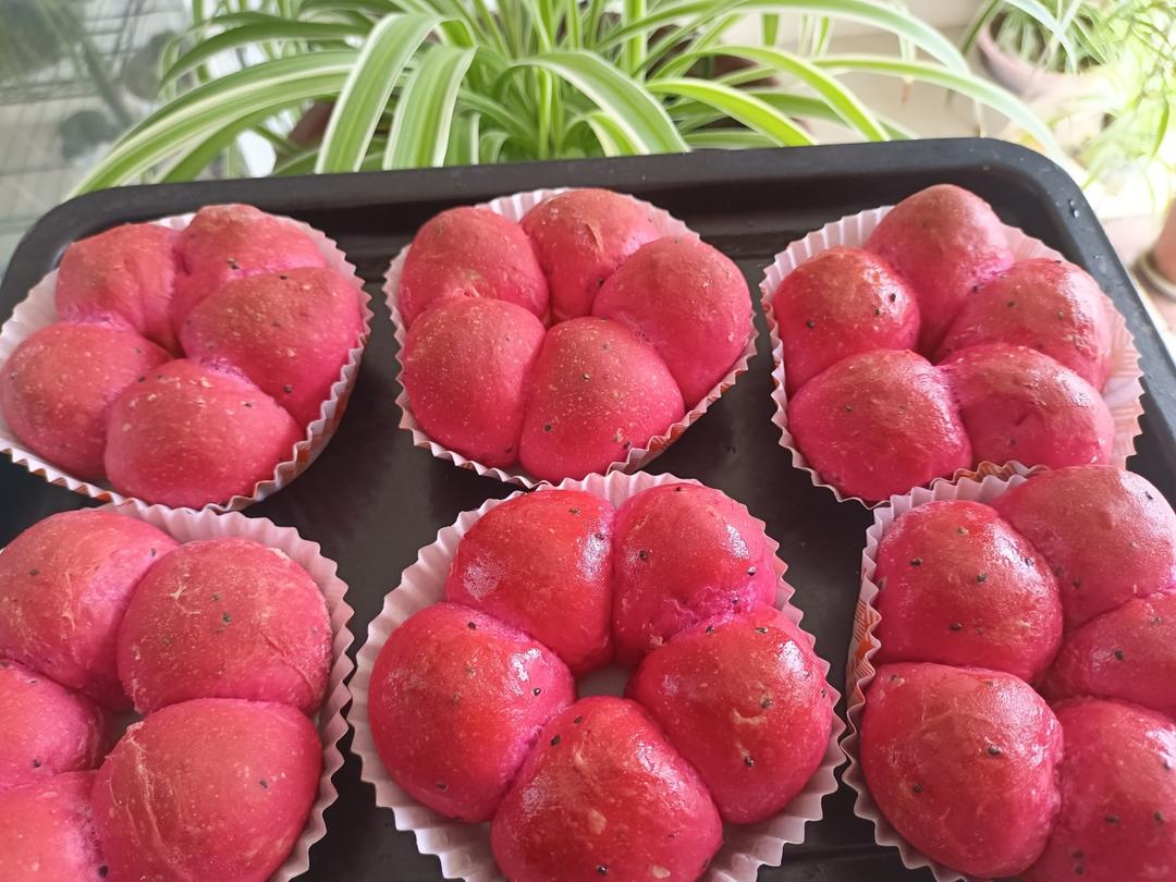 颜值拉满了，火龙果奶酪花包