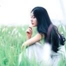 晨茜贝儿