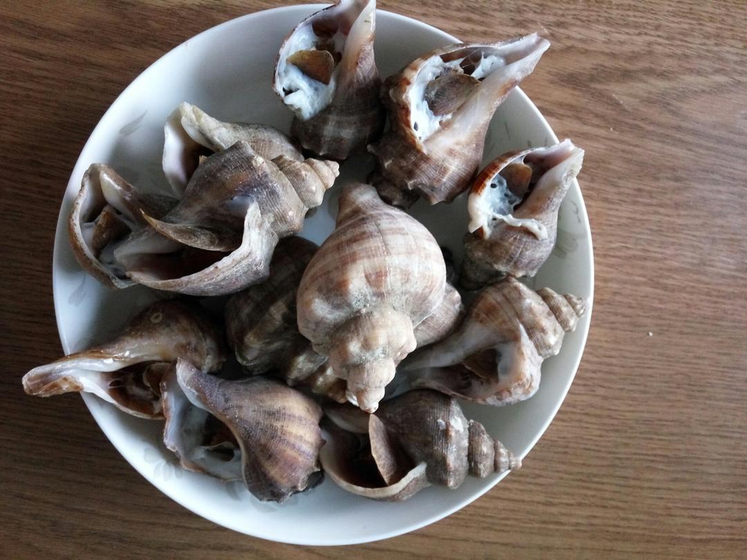 水煮海螺