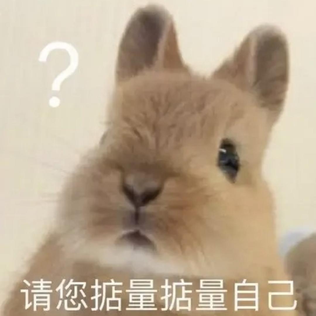 今天烧厨房了吗