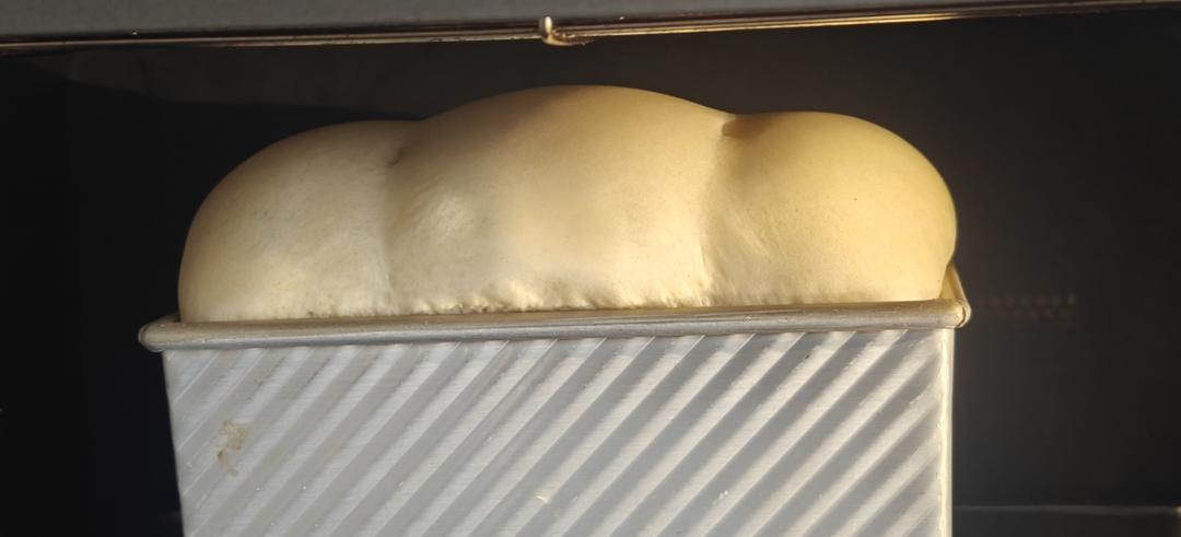 每周必做的北海道吐司520g，柔软拉丝，一次发酵（中种法）