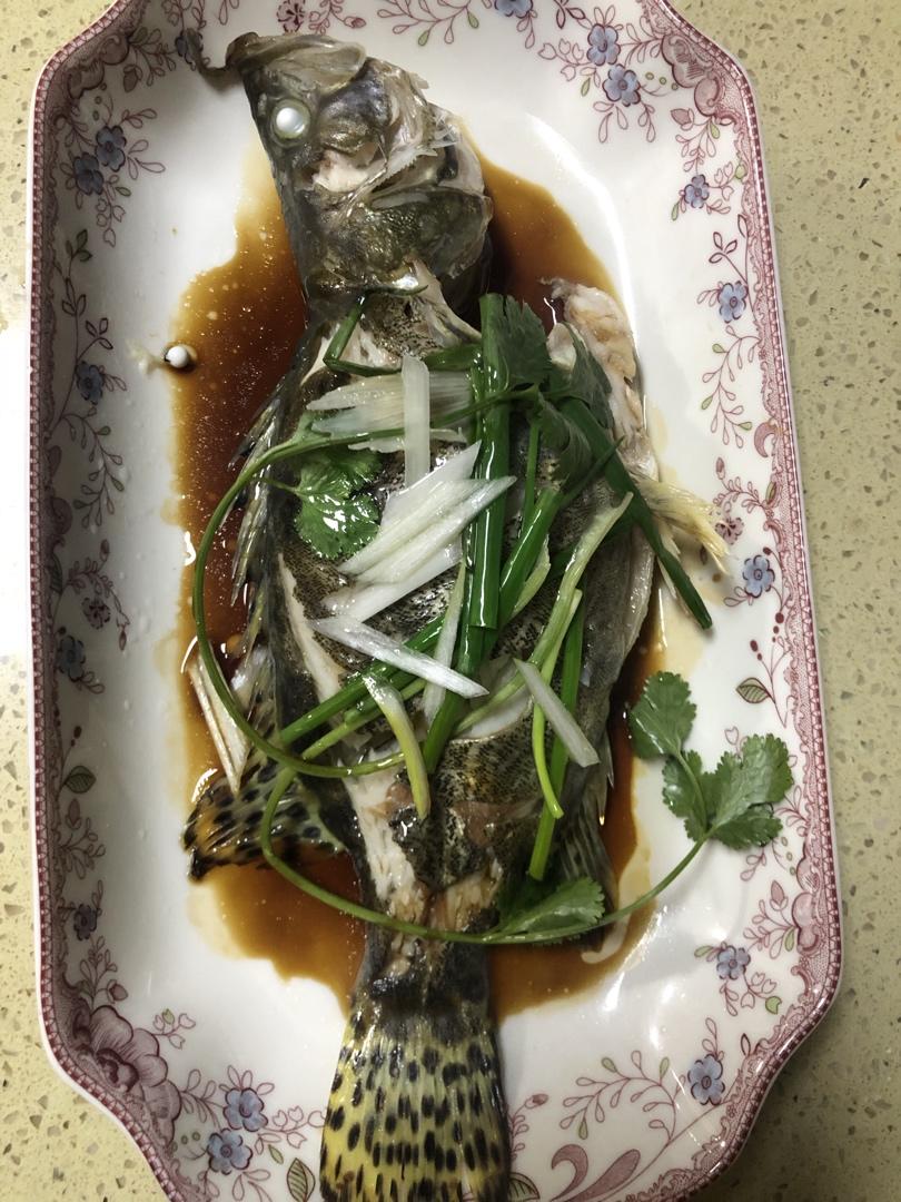 清蒸鱼（鲈鱼/多宝鱼/桂花鱼/石斑鱼……）