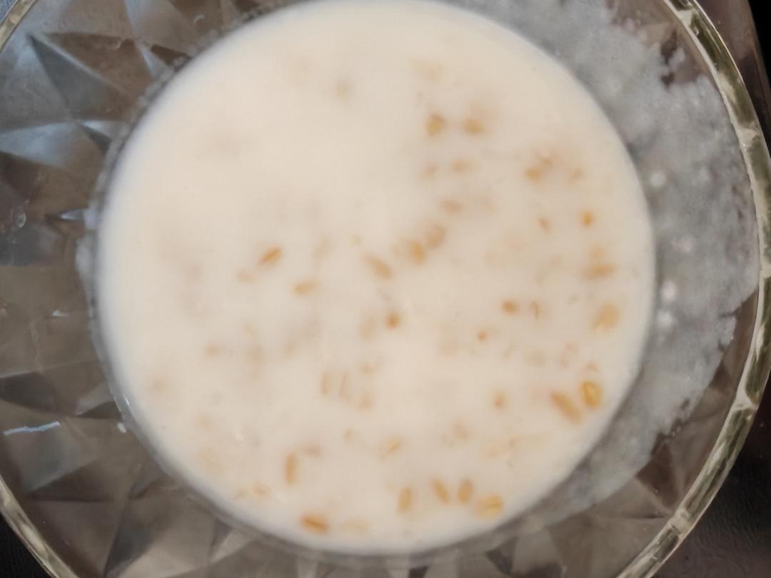 牛奶燕麦粥（浓稠）