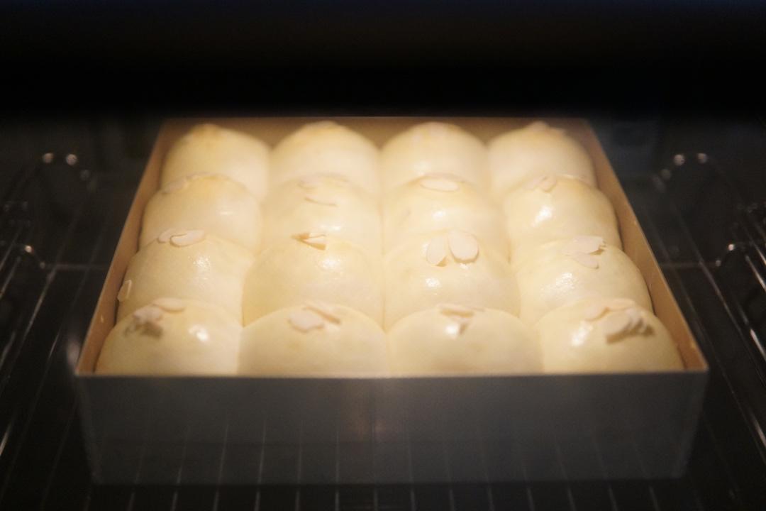 鲜奶油小餐包（一次发酵）