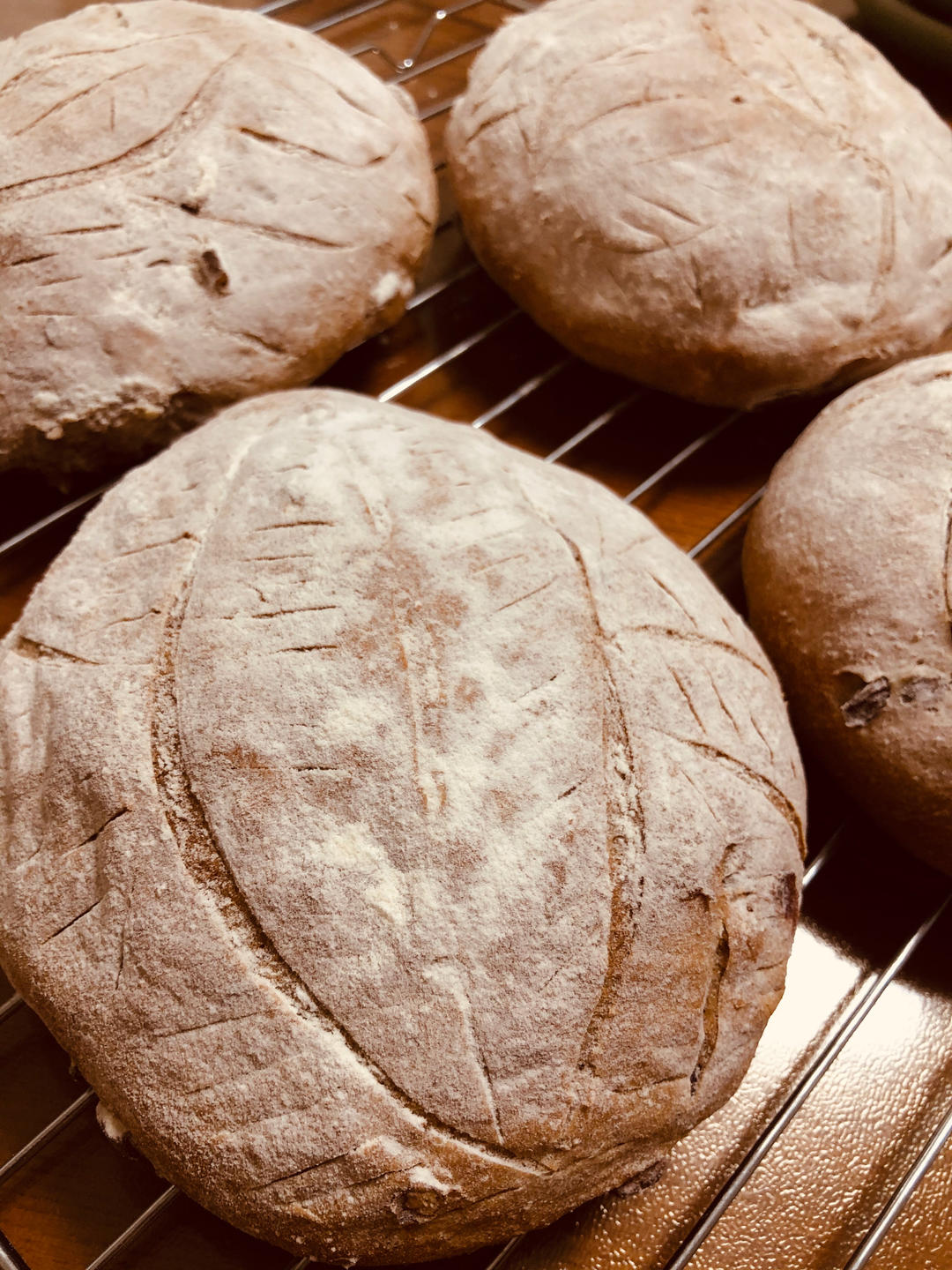 全麦蔓越莓核桃软欧包