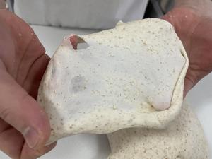 【面包配方】钻石裂纹贝果的做法 步骤1
