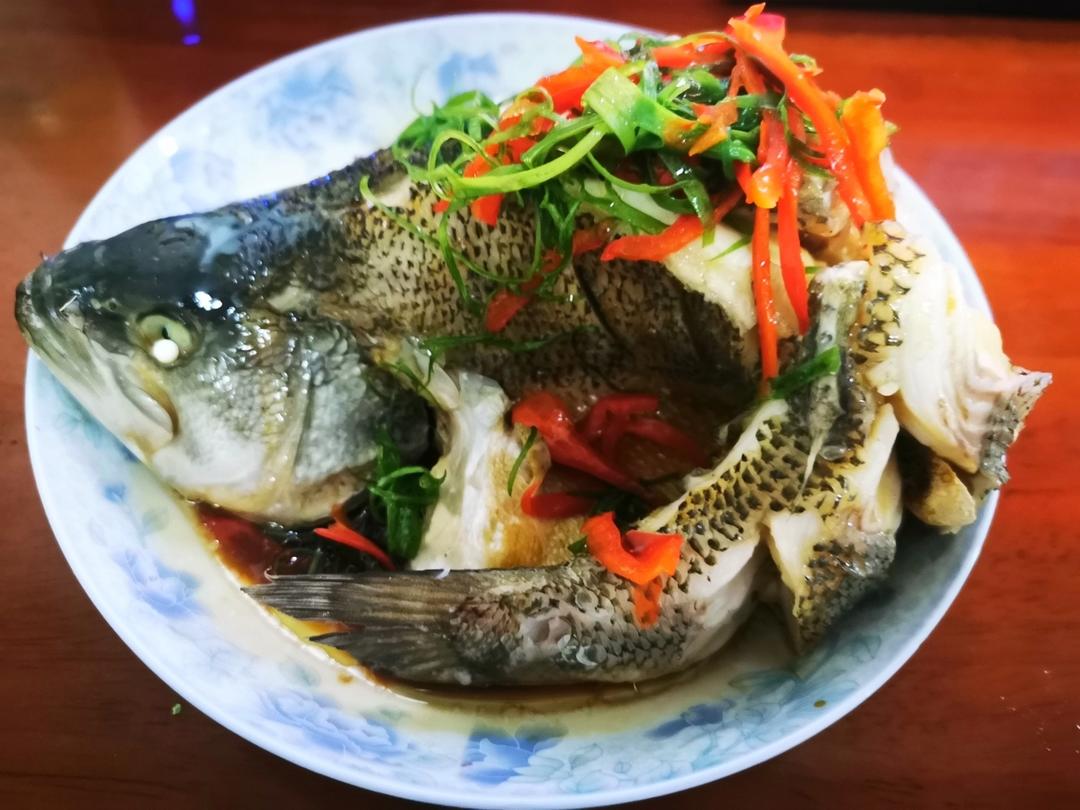 超入味清蒸鱼～清蒸鲈鱼桂花鱼（家常独创）