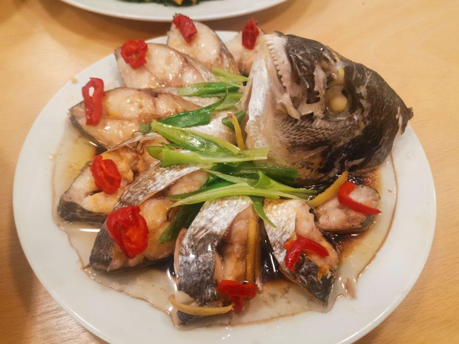 孔雀开屏鱼