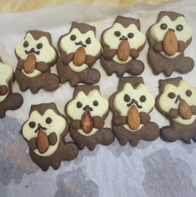 卡通动物立体饼干--抱大杏仁的小松鼠