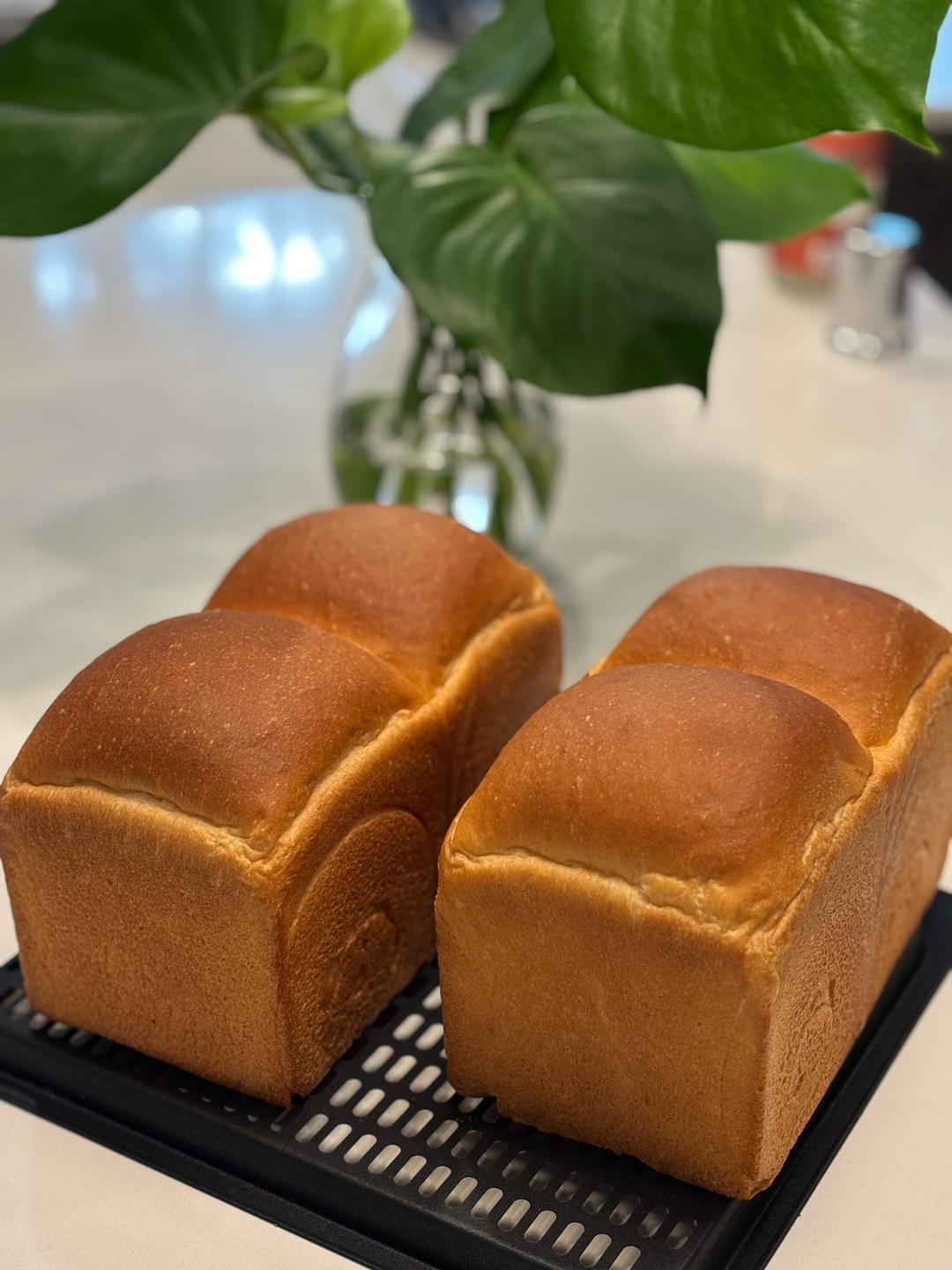 牧场鲜奶吐司🍞｜一次发酵｜吴克己老师经典吐司