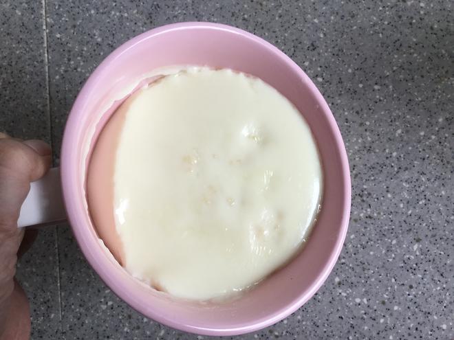 【内含多项核心专利技术】【低碳·简易·懒人·快手】自制开菲尔酸奶、奶酪的做法