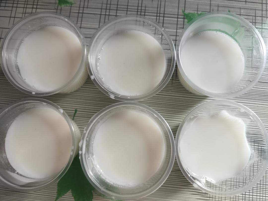 双皮奶粉版双皮奶