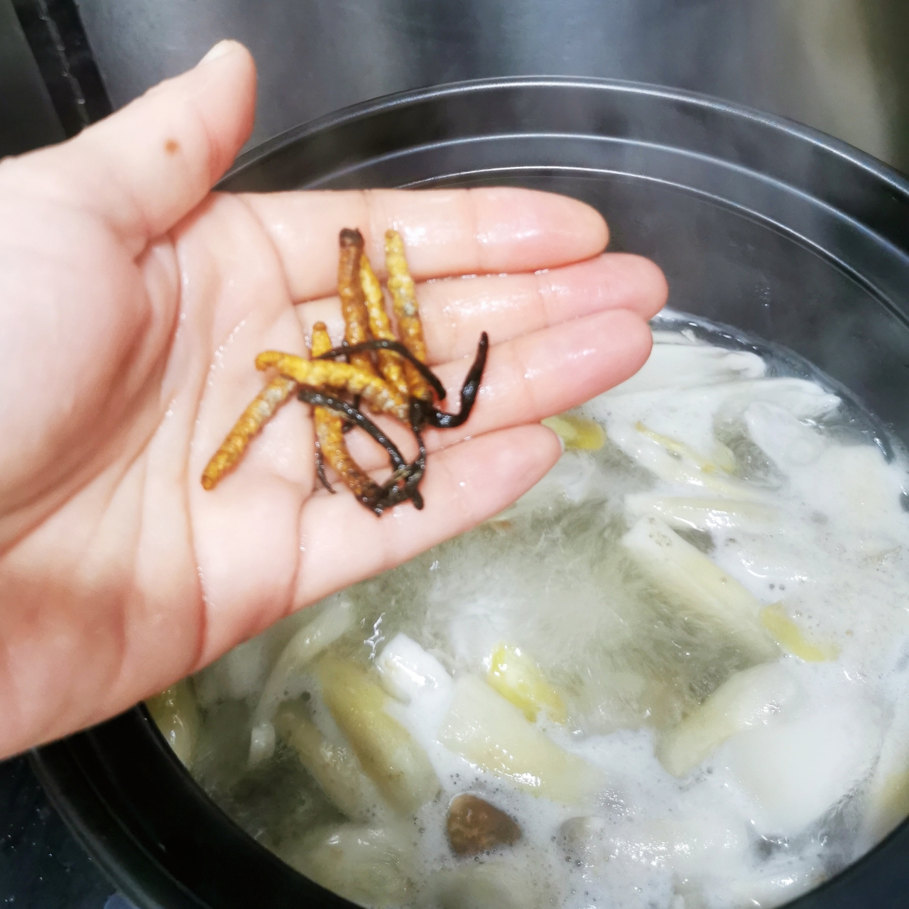 最简单又巨好喝的虫草松茸老母鸡汤（直接煮就行）的做法 步骤5