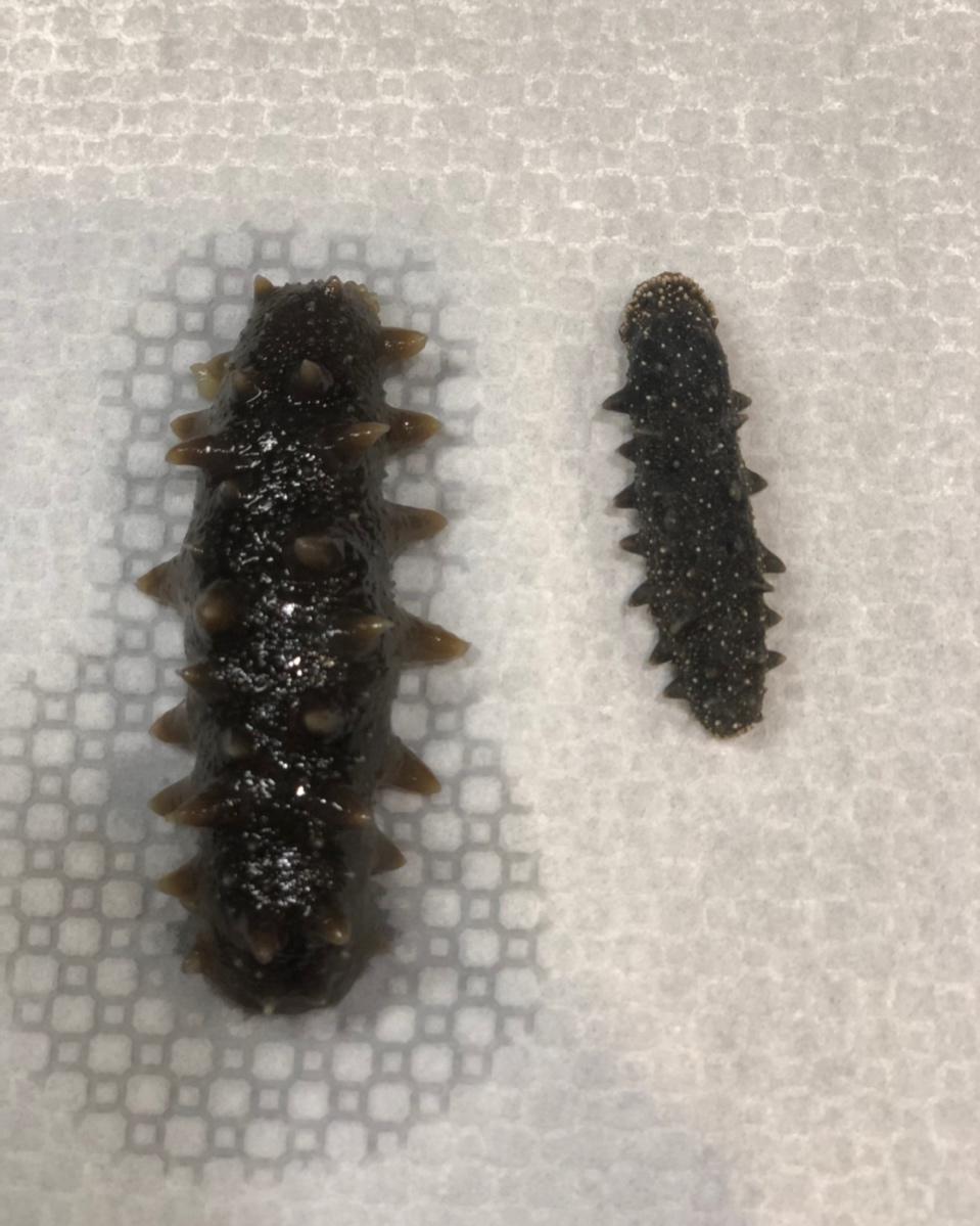 泡发海参的方法
