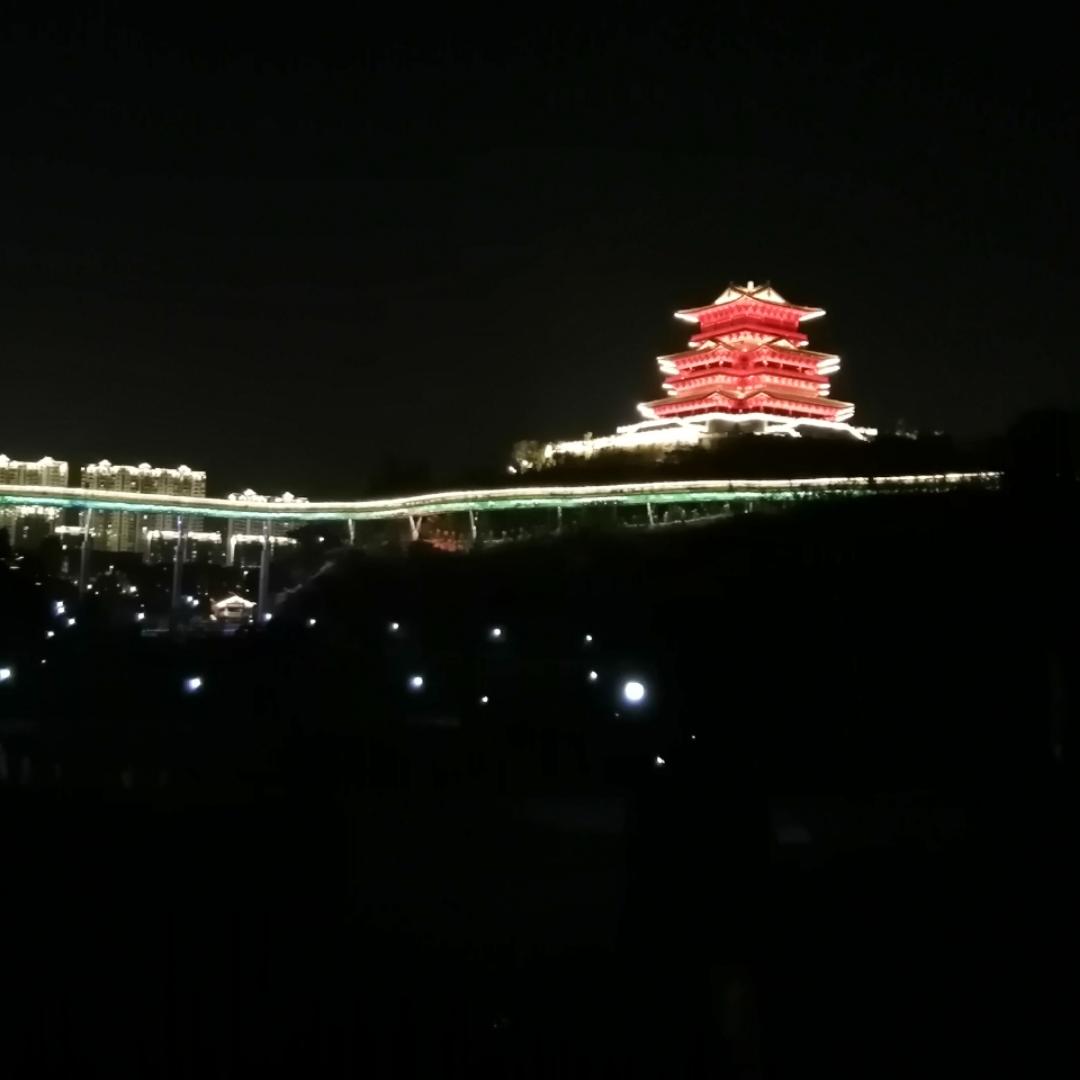 紫色的蝴蝶0