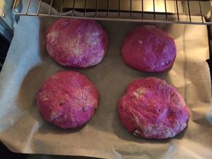 火龙果蔓越莓脆皮面包（不用揉面的面包）的做法 步骤10