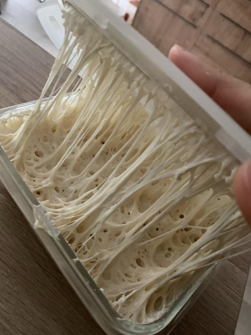 波兰种（海绵酵头）