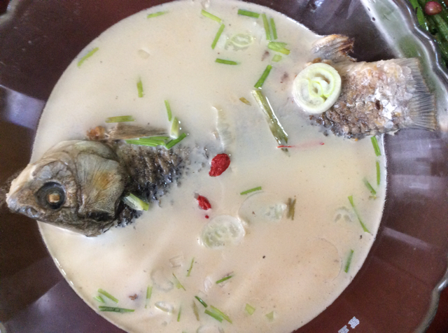 奶白鲫鱼汤