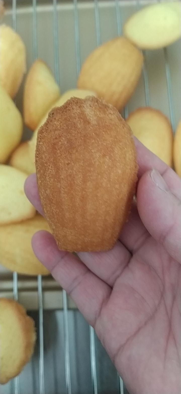 玛德琳蛋糕