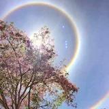 甜蜜糖姐