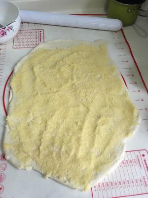 面包机版椰蓉吐司（中种）的做法 步骤9