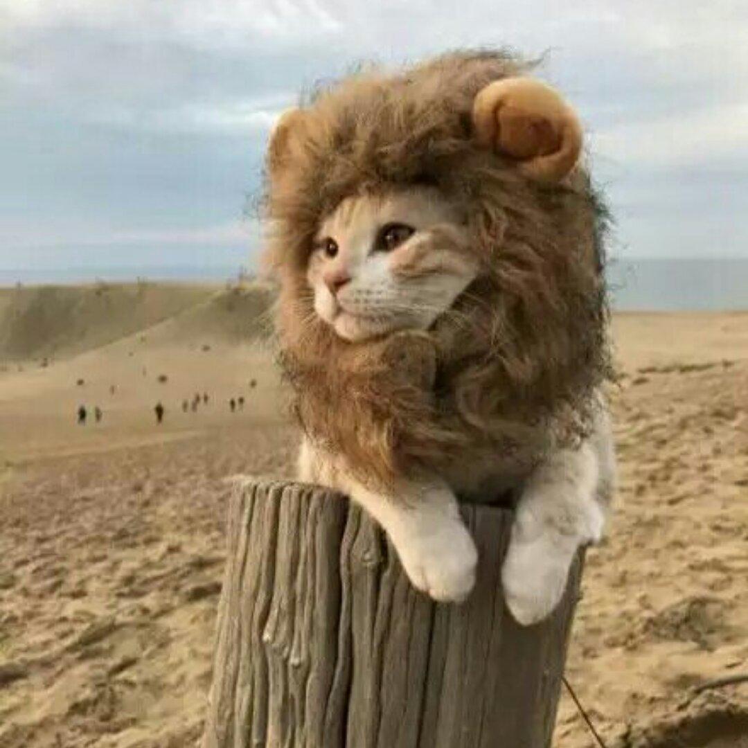 老陈家大丫头