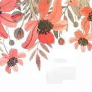 一撮儿小阳光