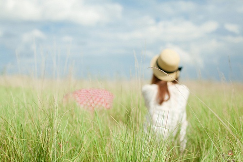 达达家的小虫虫