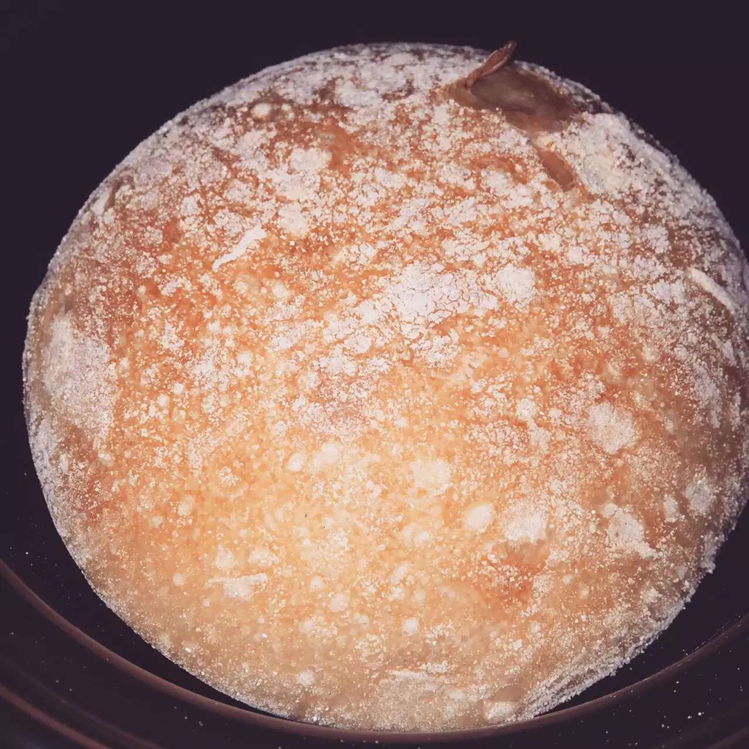 欧包/乡村面包-无油不用揉 No Knead Bread