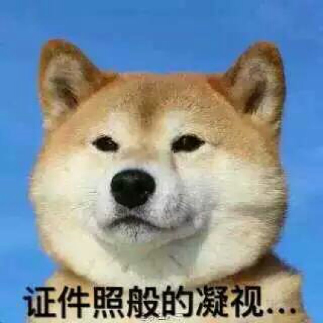 噜啦噜啦二宝啊