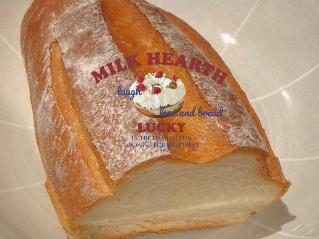 牛奶哈斯的做法