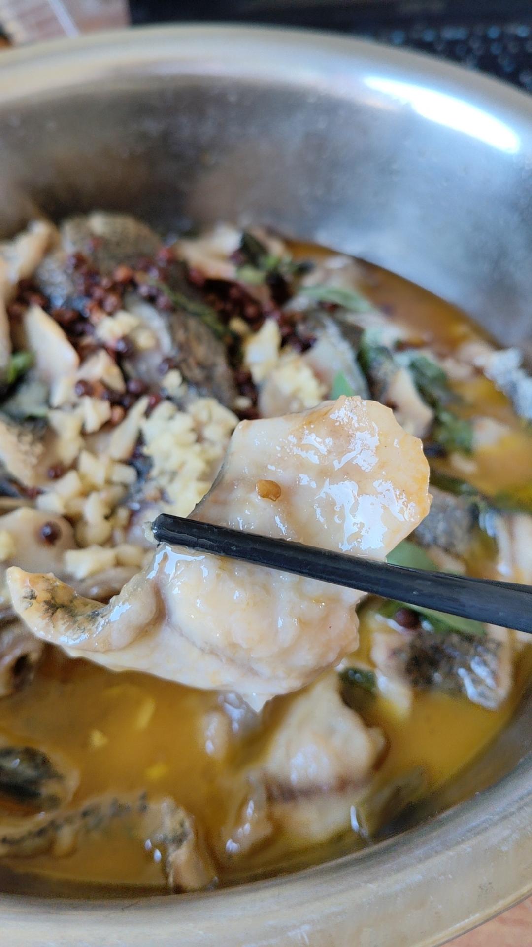 泡菜鱼