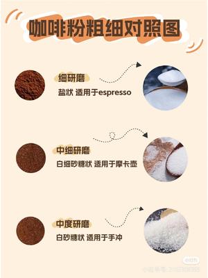 磨咖啡豆的做法 步骤2