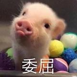 小陈倍儿对