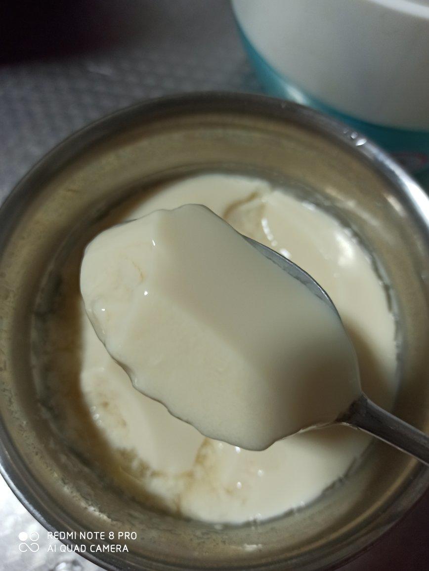 有机黄豆酸奶