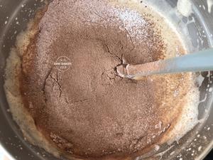 猫头鹰巧克力蛋糕的做法 步骤5