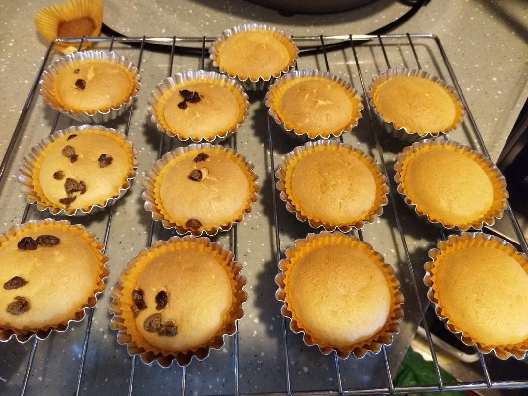 不回缩杯子蛋糕cupcake