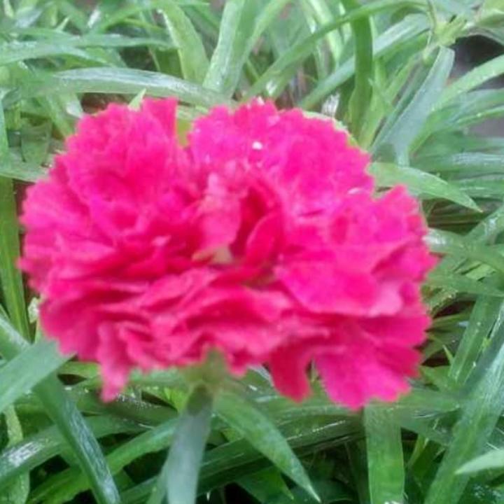 不改呢称不行是不是