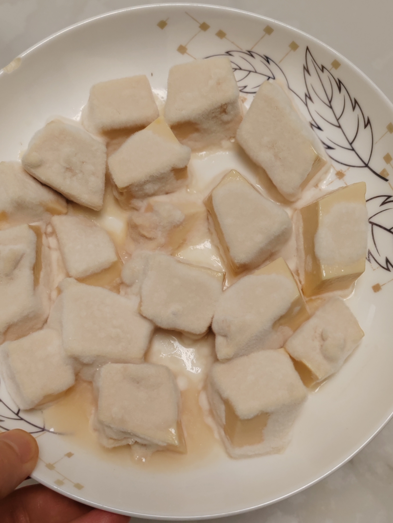 自制豆腐乳