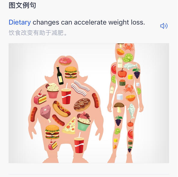 原菲樱