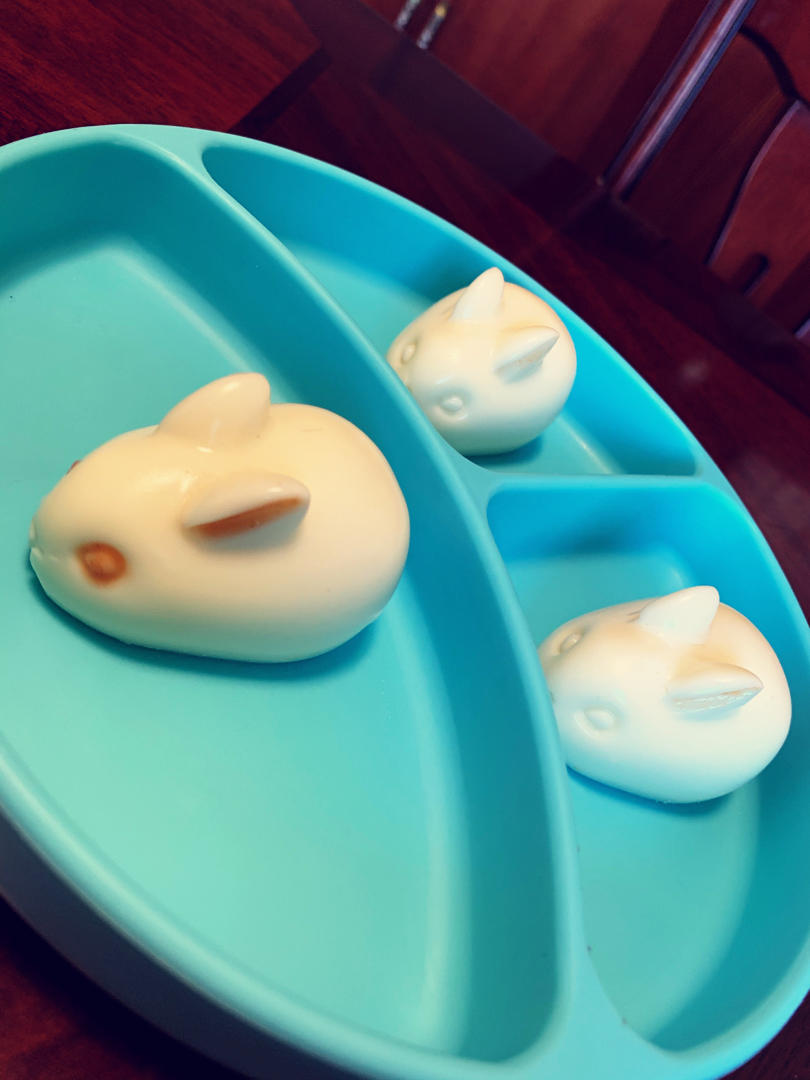 抖音网红椰奶布丁兔子布丁猪