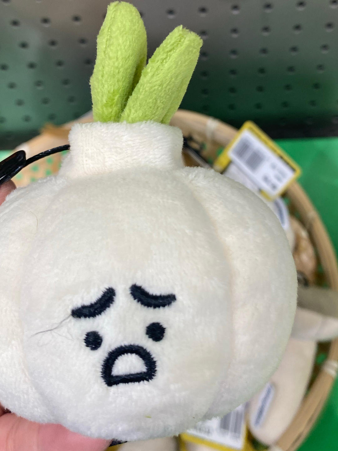 蒜惹