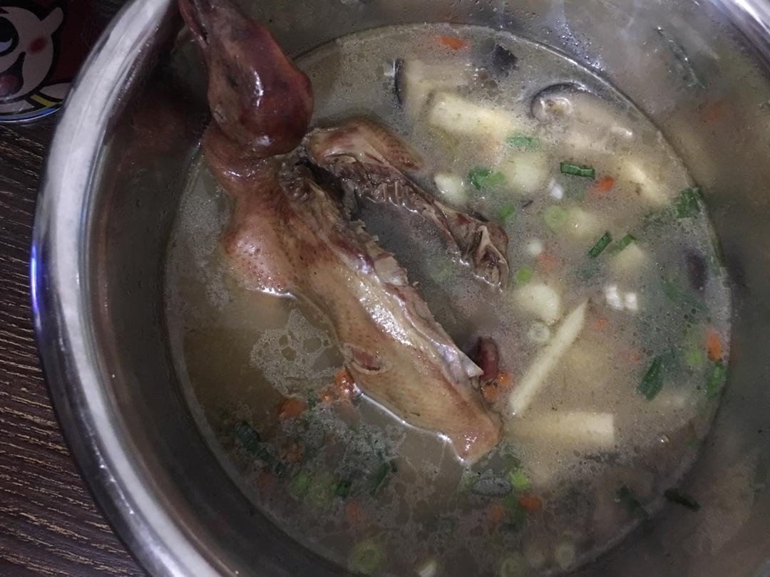 炖鸽子汤