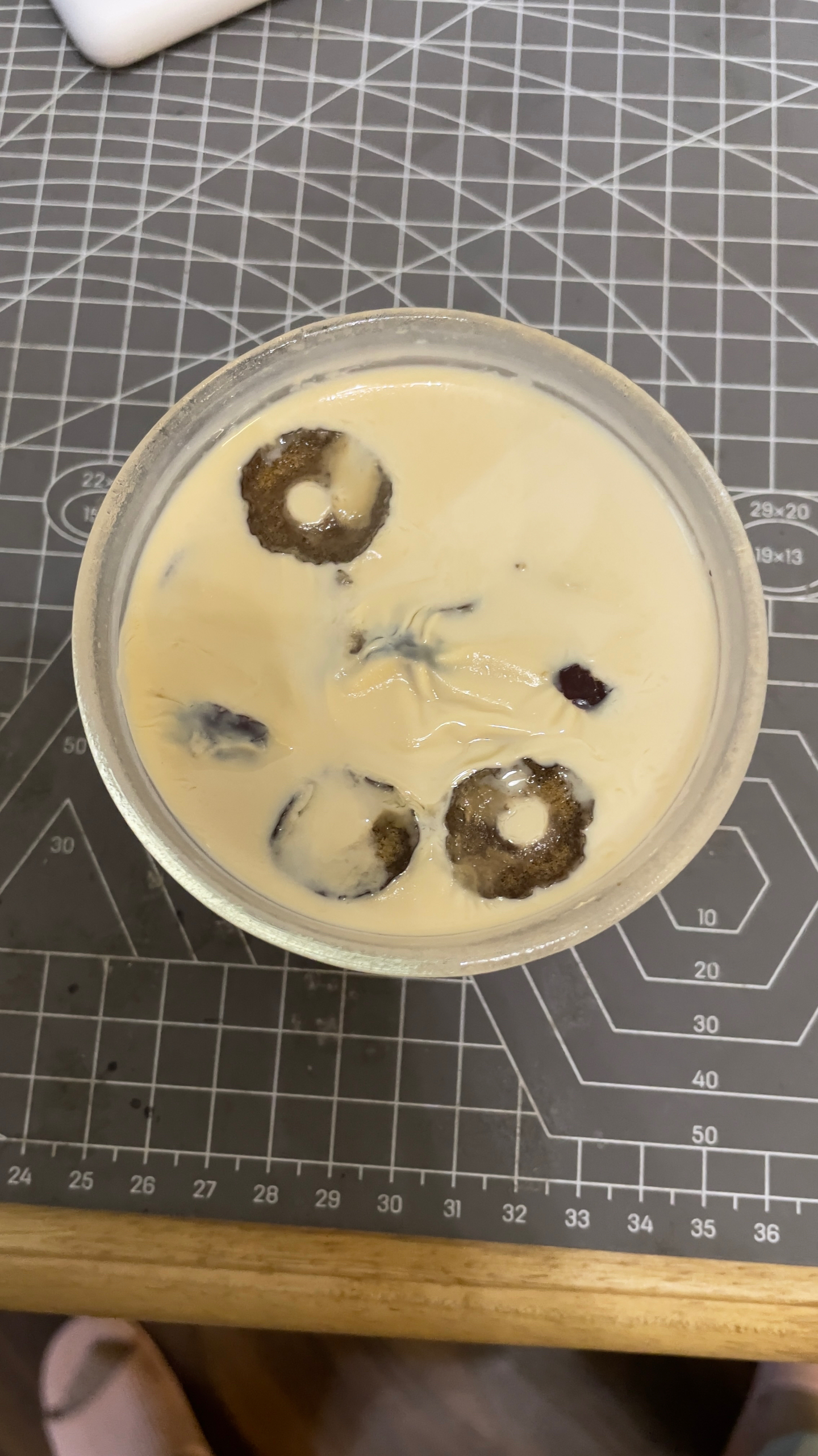 每天都想喝的🌸花胶陈皮炖奶🍮 【一点点点儿腥味都无】