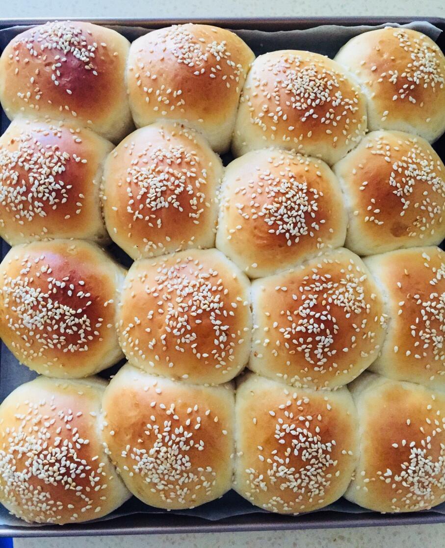 一次性发酵酸奶小餐包