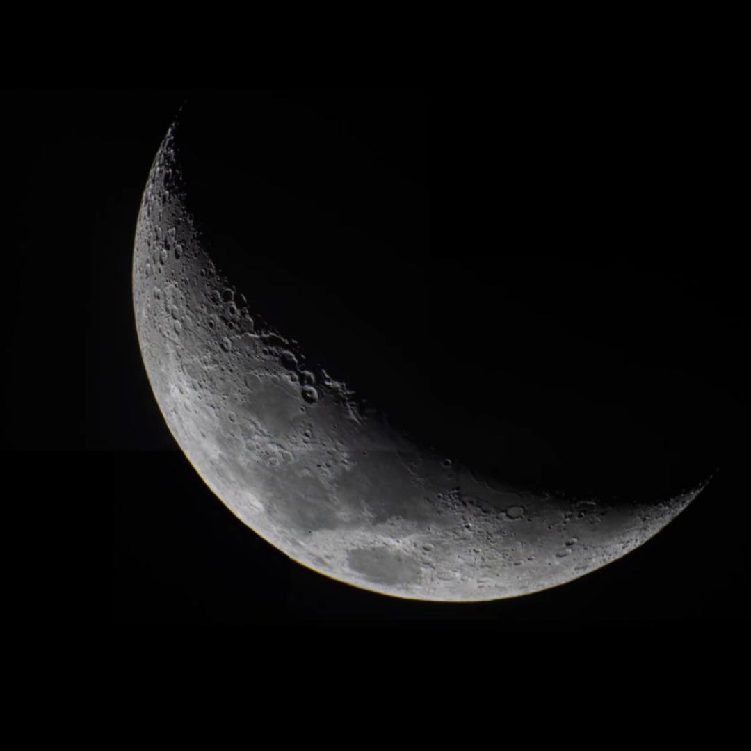 紫橘二三两